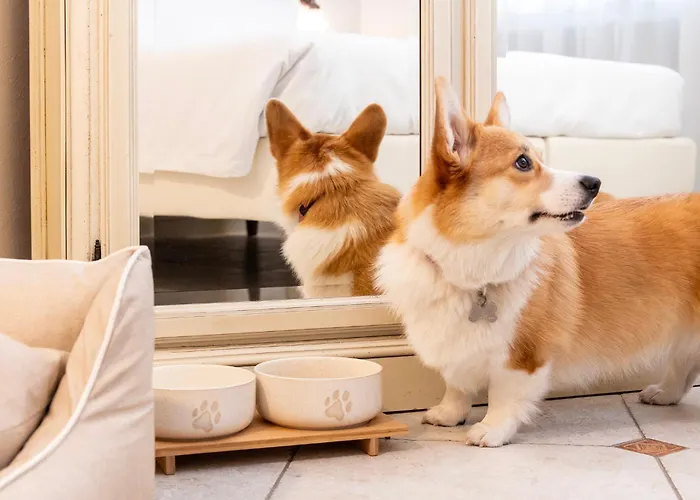 Majestic Toscanelli Ξενοδοχείο